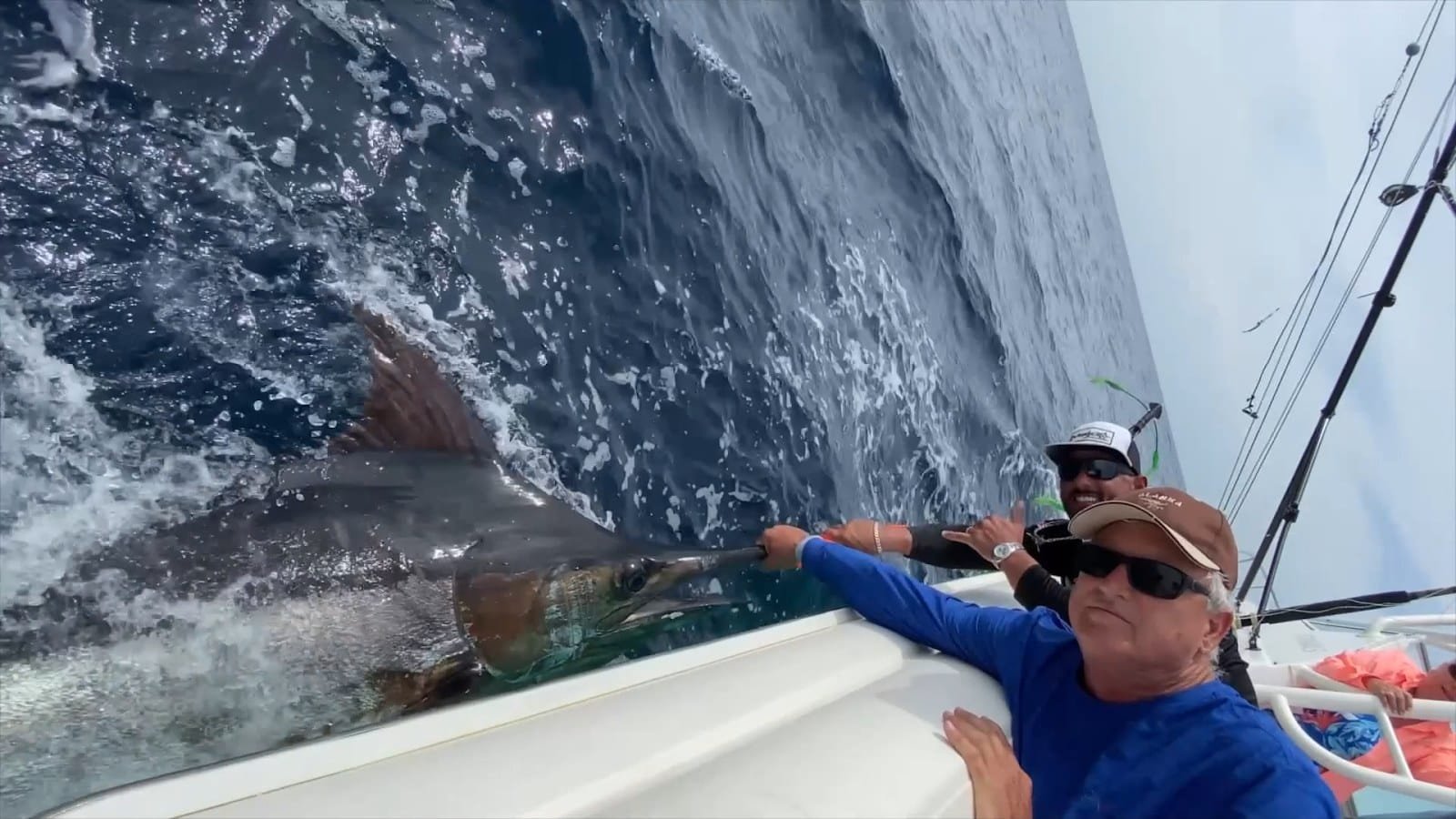 Angler bringing a billfish alongside the boat off Panama